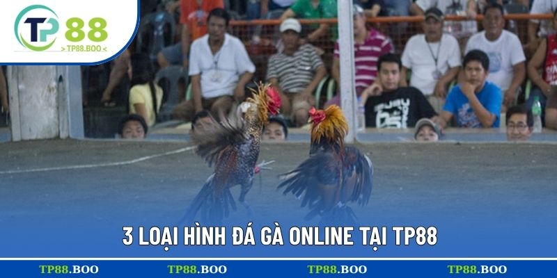 3 loại hình đá gà online tại TP88