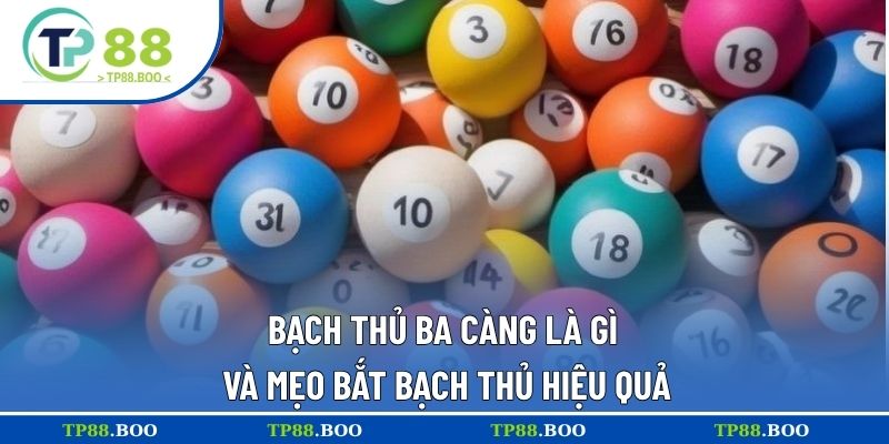 bạch thủ ba càng