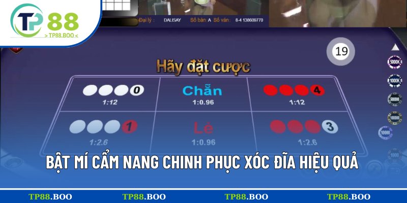 Chia sẻ bí kíp chinh phục Xóc Đĩa dễ dàng