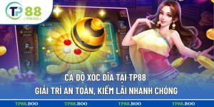cá độ Xóc Đĩa