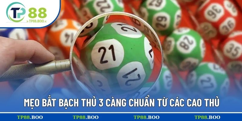 Mẹo bắt bạch thủ 3 càng chuẩn từ các cao thủ
