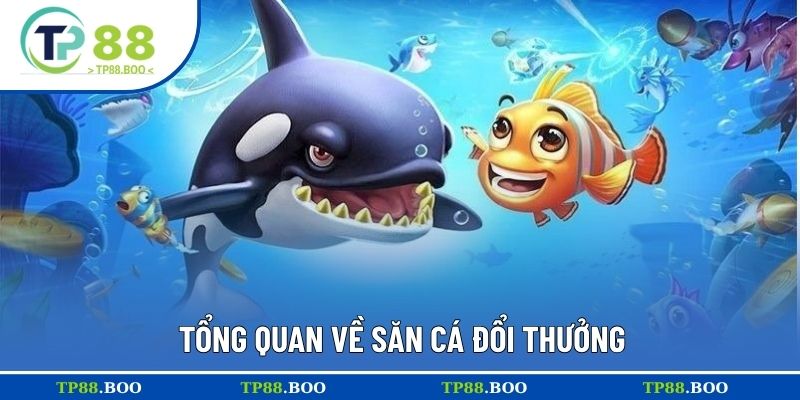 Tổng quan về săn cá đổi thưởng
