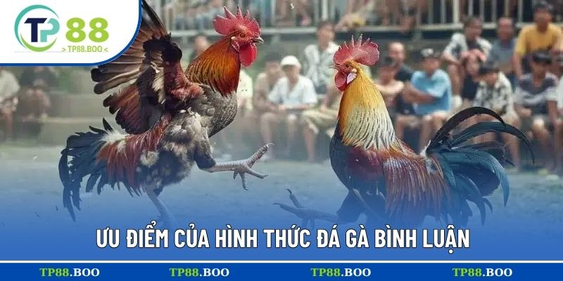 Ưu điểm của hình thức đá gà bình luận